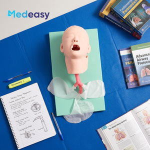 Modèle de formation à l'intubation trachéale pédiatrique Modèle d'enseignement de l'étude Simulateur d'intubation endotrachéale - Product Image 6