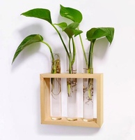 Promotion : Support mural en bois pour 5 pots en verre en forme de tube à essai, vase à fleurs suspendu ou à poser sur table pour la maison