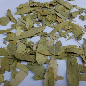 Preço de Atacado Folhas de Senna Secas para Chá de Ervas Únicas Folium Sennae para Saúde - Product Image 2