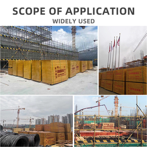 Màu xanh lá cây PP tráng phim phải đối mặt với ván ép tấm 18mm bê tông ván khuôn Panel WBP Phenolic keo bền và tái sử dụng - Product Image 5