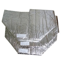 Sacs isolés de doublure de boîte d'aluminium de double bulle de conception industrielle pour la forme de feuille de la livraison de pharmacie