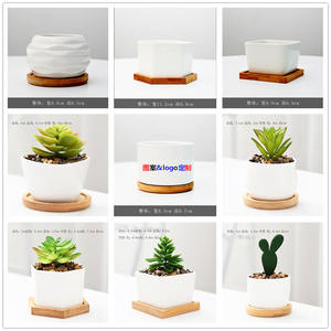 Maceta suculenta, maceta pequeña <span class=keywords><strong>de</strong></span> cerámica, Decoración <span class=keywords><strong>de</strong></span> mesa interior, maceta <span class=keywords><strong>de</strong></span> Orquídea blanca plateada, <span class=keywords><strong>macetas</strong></span> <span class=keywords><strong>de</strong></span> flores <span class=keywords><strong>de</strong></span> <span class=keywords><strong>Cactus</strong></span> <span class=keywords><strong>para</strong></span> primavera - Product Image 4