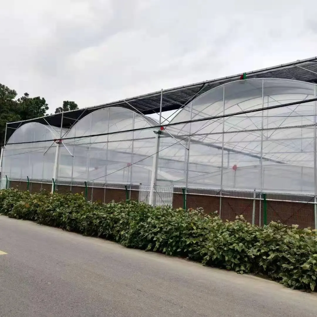 Automatisches Glas-Solarpanel-Gewächshaus verwendet für Erdbeerenerntegarten