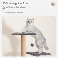 Structure de jeu pour chat avec griffoir, perchoir, niche, échelle d'escalade et jeux interactifs pour chats actifs d'intérieur, stable
