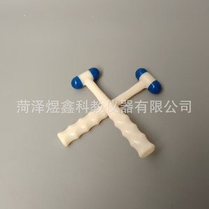Marteau de percussion Yuxin Education 70g en ABS à noyau solide, instrument pédagogique pour l'enseignement de la biologie - Product Image 2