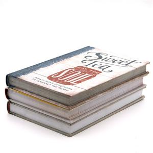 Vendita calda migliori romanzi inglesi <span class=keywords><strong>libro</strong></span> Soul gemer mito romanzi stampa servizio di libri con copertina rigida personalizzata stampa - Product Image 4