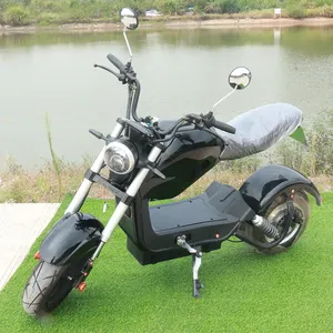 אירופאי מחסן M3 חשמלי קטנוע אופנועים למבוגרים citycoco 1500w למכירה עם נשלף סוללה 60v20ah
