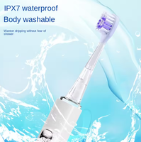 Brosse à dents électrique rechargeable Type-C Sonic 2026 pour hommes - Étanche IPX7, écologique, blanchiment des dents et soins dentaires