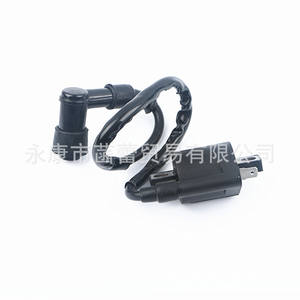 GY6คอยล์จุดระเบิดแรงดันสูงของ ATV ออฟโรด CG ขดลวดเครื่องยนต์แรงดันสูงแนวตั้ง - Product Image 1