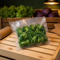 Sacs de conservation transparents prédécoupés, double couche PE PET, qualité alimentaire, 140 microns, thermoscellables, hermétiques, adaptés au congélateur, pour le riz