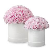 Fleurs réelles préservées pour Noël, cadeau de la Saint-Valentin, roses éternelles en boîte, roses préservées à jamais, vente en gros