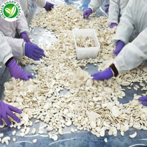 Champignon blanc entier congelé IQF biologique cultivé/Champignon inférieur - Product Image 4