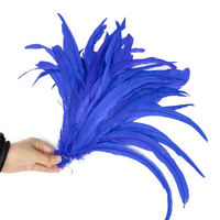 Expédition rapide, plusieurs tailles, plumes de queue de coq noires teintes artificiellement, sélectionnées, décoration de coiffe de carnaval, en vrac