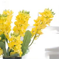 Fleurs artificielles à double tête jaunes, fausses fleurs de colza, herbe en plastique, feuilles artificielles décoratives