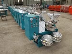 Machine d'extraction <span class=keywords><strong>à</strong></span> spirale, ml, huile de noix de coco, noix de coco, pressoir de traitement <span class=keywords><strong>à</strong></span> froid - Product Image 4