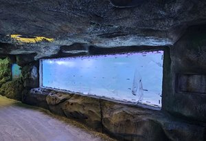 Peceras de acuario ultraclaras grandes personalizadas, pecera rectangular de 500 galones - Product Image 3