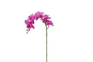 Usine directe réel look réaliste de haute qualité fleurs d'orchidées artificielles tige 7 têtes de mariage décoration - Product Image 6