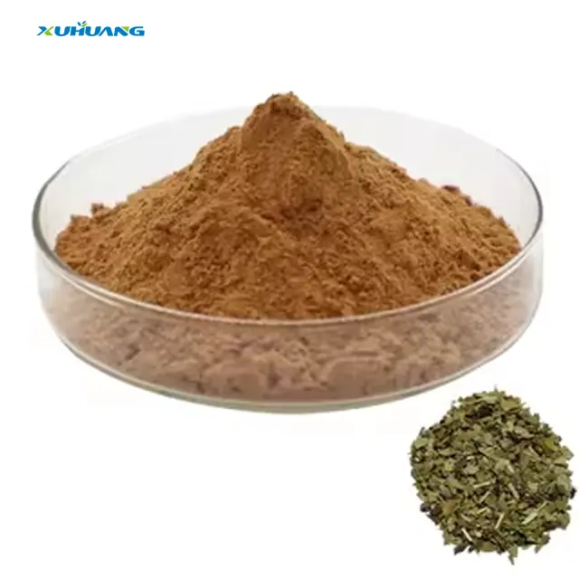 Hot Sale Factory Price Yerba Mate Extract 10:1 Yerba Mate Extract Powder