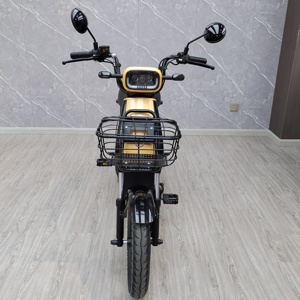 Motocicleta Eléctrica con Carga Rápida, Carga Completa <span class=keywords><strong>en</strong></span> 2 Horas, Autonomía de 60 km, Bicicleta Eléctrica para Servicio de Entrega - Product Image 2