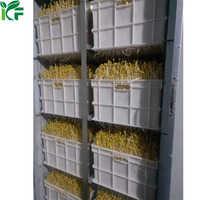 Équipement automatique de culture de pousses de soja de type boîte KEFA, machine à pousses de soja pour supermarché, moteur en acier inoxydable