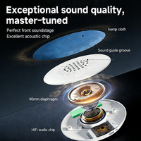 Haut-parleur Bluetooth sous oreiller, mini machine à sons pour le sommeil avec bruit blanc, son haute fidélité pour la relaxation au chevet du lit
