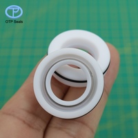 Joints personnalisés en PTFE pour arbres, joints en polytétrafluoroéthylène, ressorts en acier inoxydable, joints toriques NBR, non standard, OEM, ODM