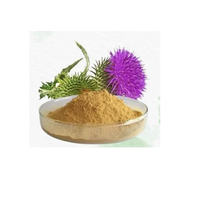 Silybum Marianum Mariendistel Trockenextrakt 80% Silymarin Pulver Botanischer Pflanzenextrakt für Nahrungsergänzungsmittel-Inhaltsstoffe - Product Image 3