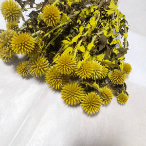 Cardo de globo azul natural (<span class=keywords><strong>Echinops</strong></span> Latifolius) Flores preservadas Boda rústica Bolas puntiagudas decorativas Ramo de habitación tintado - Product Image 5