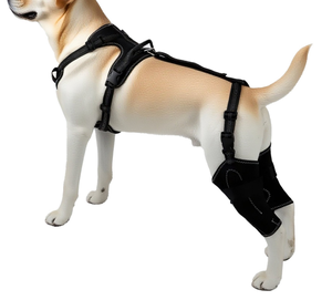Équipement de protection pour animaux de compagnie : protections articulaires pour chiens en sortie, en matériaux de plongée épais et sûrs - Product Image 5