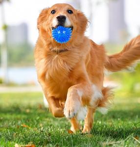 TPR kaymaz yumuşak renkli köpek çiğnemek oyuncak dayanıklı diş temizleme interaktif toksik olmayan gıcırtılı topu IQ eğitim yavru Bite - Product Image 5