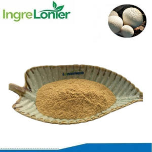 Herba integratore <span class=keywords><strong>Da</strong></span> Tu <span class=keywords><strong>Ma</strong></span> Bo 5:1 10:1 20:1 Calvatia Gigantea Sporophore estratto in polvere - Product Image 2