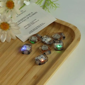 Accesorios de Luces Electrónicas Luminosas HA PU Unisex para Mayores de 14 Años, Mini Piezas DIY Resistentes a las Sacudidas, Luces Rojas, Verdes y Azules - Product Image 1