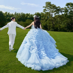 Blue Strapless Ball Gown Wedding Dress Empire Waist Floral Print Forest Theme Long Train Gown - Product Image 4