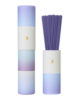 Cônes d'encens Nipponkodo aux feuilles de cerisier japonais et bambou, parfum ambregris, 30 bâtonnets, poudre d'encens aromatique pour la maison