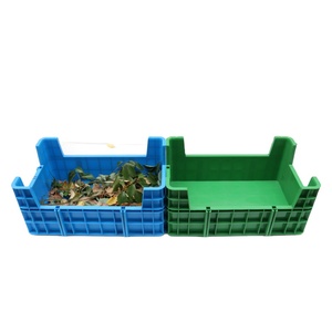 Plateau de boîte d'élevage d'insectes en plastique empilable de 600x400x145mm utilisé pour les vers de farine Black <span class=keywords><strong>Soldier</strong></span> Fly BSF <span class=keywords><strong>Buffalo</strong></span> Worms and Flies - Product Image 1