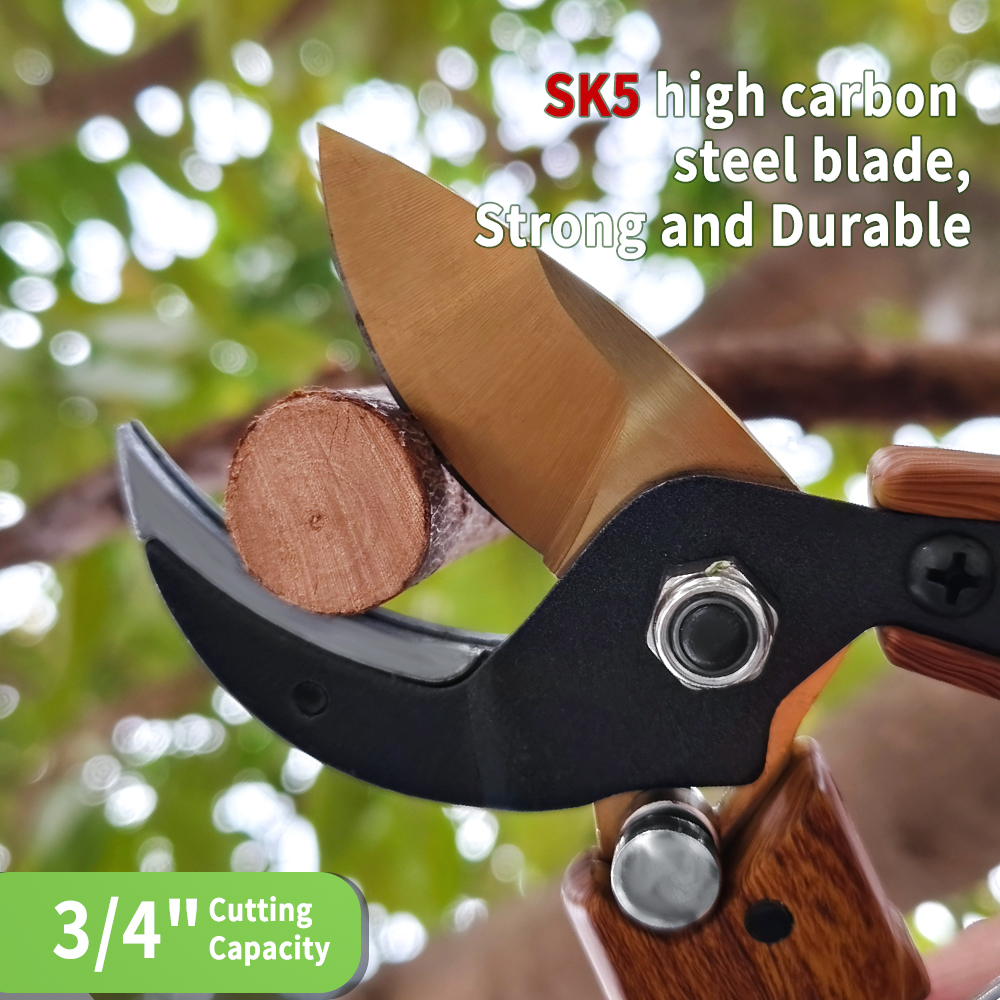 tree pruning tool
