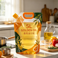 Pochette de 3L transparente de qualité alimentaire avec bec verseur pour riz et aliments – Emballage portable