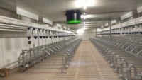 Nouvelle mangeoire réglable ZML en acier galvanisé pour truies gestantes, type H, anti-rouille, équipement d'élevage porcin longue durée de vie 1-50