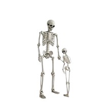 Squelette géant en plastique de 24 mètres pour Halloween, modèle de décoration corporelle complète en forme humaine, idéal pour événements transfrontaliers, fabriqué en Chine, unisexe, référence 1010