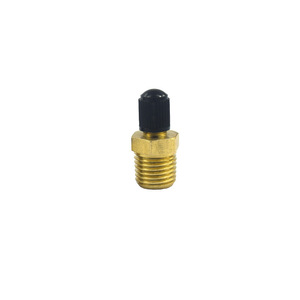 Valve <span class=keywords><strong>Schrader</strong></span> en laiton NPT mâle 1/4'' et 1/8'' M10 pour pneus de moto et de voiture - Product Image 6