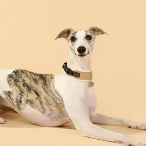 UFBemo personalizza il collare per cani con collare per animali domestici di lusso impermeabile in vera pelle scamosciata