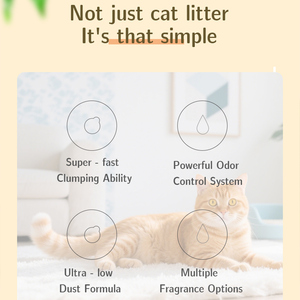 Thân thiện với môi trường nhiệm vụ nặng nề Kiểm soát mùi mèo xả bụi Bentonite vón cục cát 10kg số lượng lớn - Product Image 3