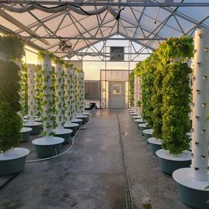 Abstower aeroponic phát triển tháp hydroponics dọc vườn Hệ thống hệ thống thủy canh - Product Image 3