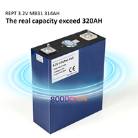 Batteries lithium-ion prismatiques M6 en stock UE REPT314Ah LiFePO4 3.2V LF314 8000 cycles pour système de stockage d'énergie solaire