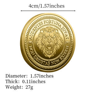 Moneta Commemorativa 3D in Ferro Pressofuso Personalizzata PANBO, Collezione Creativa con Motto Ispirazionale, Ornamento in Oro e Argento - Product Image 6