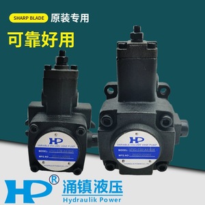 Bomba de paletas de volumen variable HP VPVC F20 A3 02A F12 F15 F30 F40 A1 A2 A4 031A, potencia hidráulica, Taiwán - Product Image 1