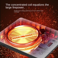 Cuisinière à induction haute puissance en gros, écran tactile, 110 V, chaudière anti-incendie, cuisinière à induction multifonctionnelle pour la maison