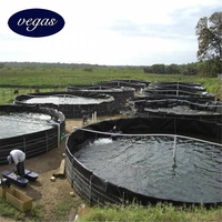 Géomembranes en PEHD du fabricant chinois pour l'évacuation des déchets miniers, 0,5 mm, 1,5 mm, 2 mm, revêtement de bassin, vendues en Thaïlande