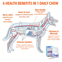 Suplemen Vitamin Anjing Waylemo Pet Health Care, Koenzim Q10 Taurin, Pendukung Kesehatan Jantung untuk Anjing dan Kucing, Tablet Kesehatan Kardiovaskular