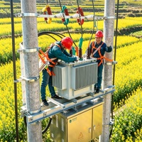Transformateur de distribution de puissance triphasé immergé dans l'huile Taishun S11 63KVA 50/60Hz 6.3kV 10kV